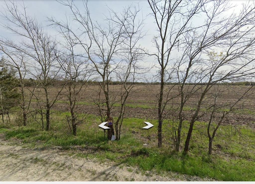 4809 County Road 4809 Property Photo 4