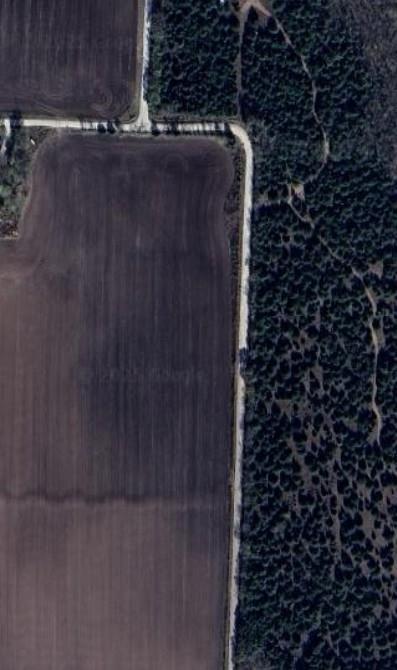 4809 County Road 4809 Property Photo 5