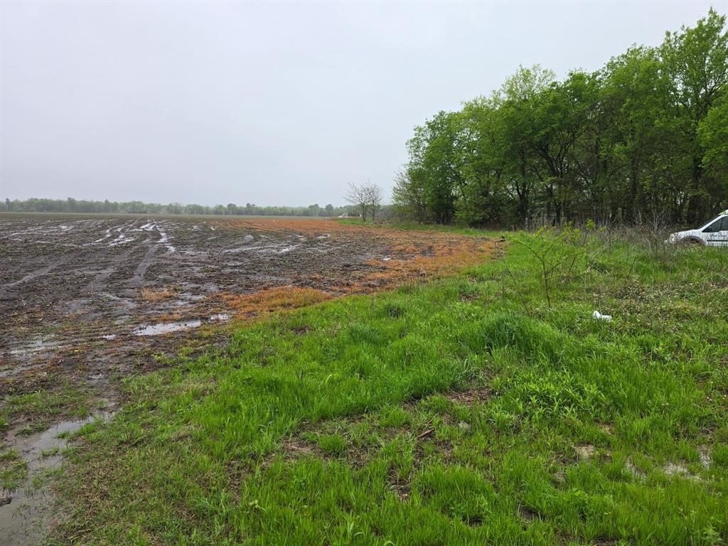 4809 County Road 4809 Property Photo 9