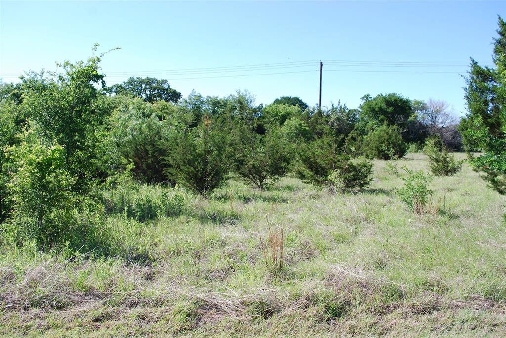 12065 Westmeadow Drive Property Photo 2