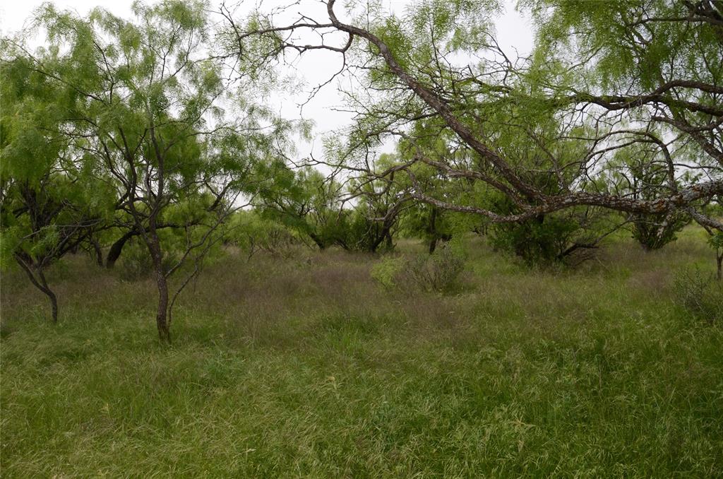 Tbd Cr 112 Property Photo 1