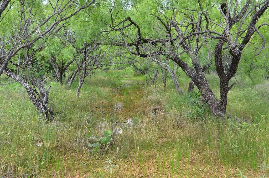 Tbd Cr 119 Property Photo 1
