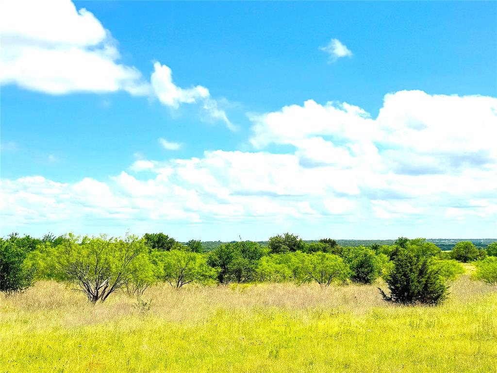 1020 Goodnight Trail Property Photo 5