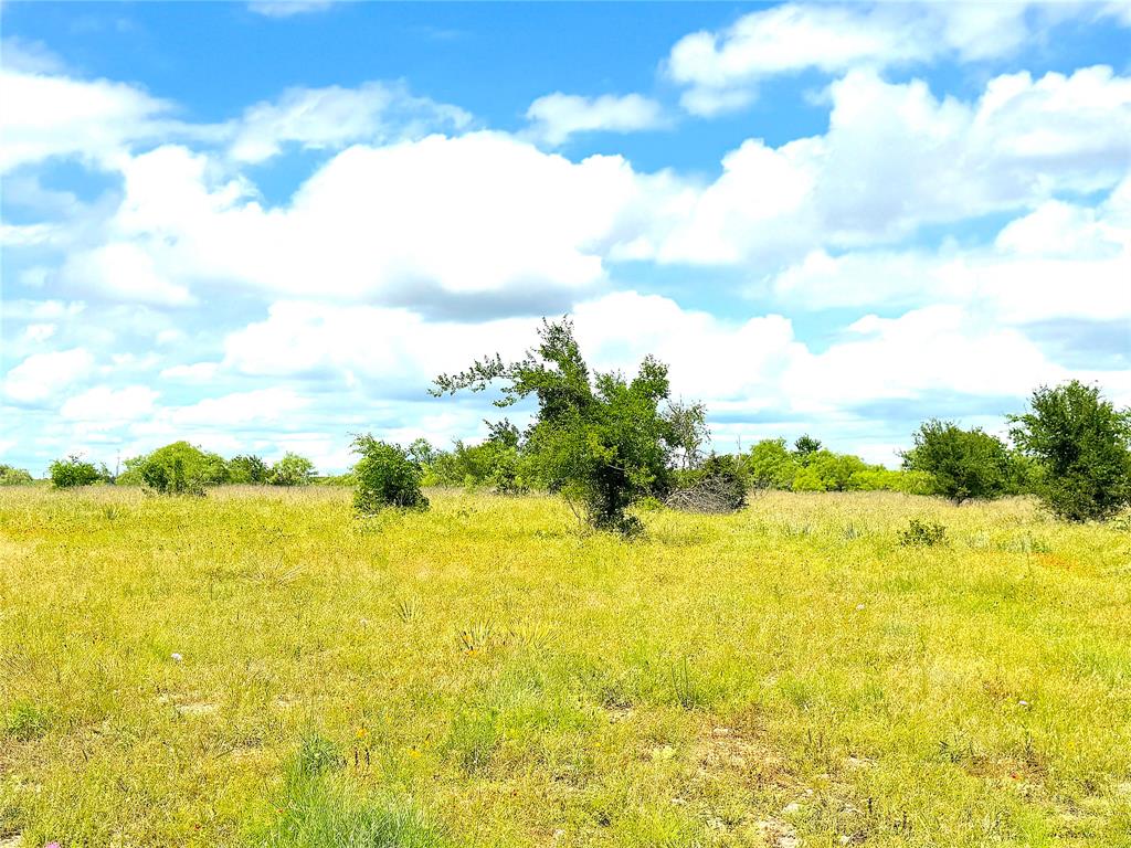 1020 Goodnight Trail Property Photo 6