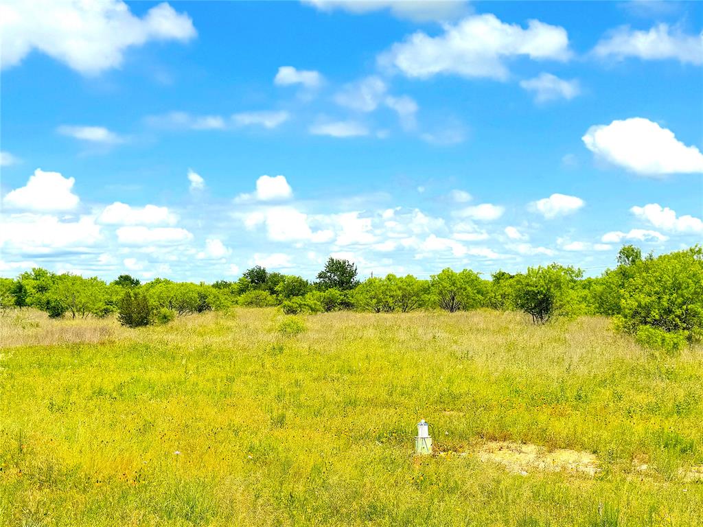 1020 Goodnight Trail Property Photo 7