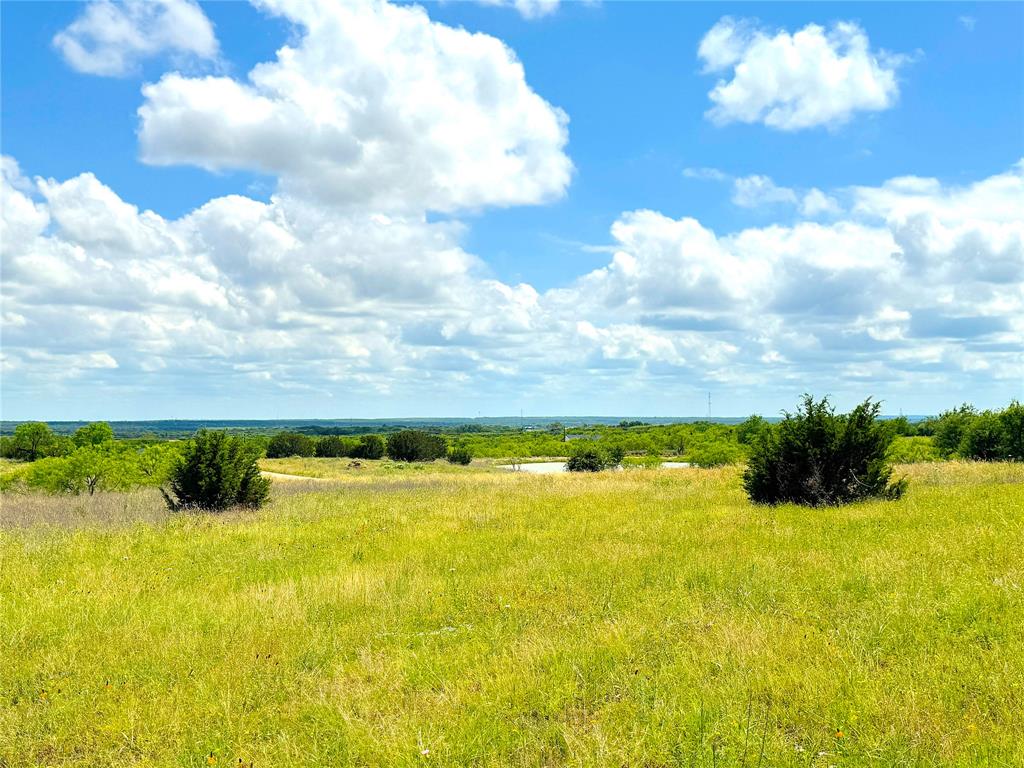 1020 Goodnight Trail Property Photo 8