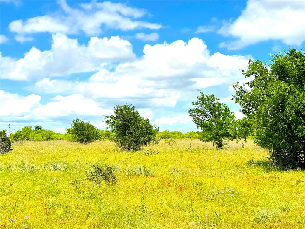 1020 Goodnight Trail Property Photo 9