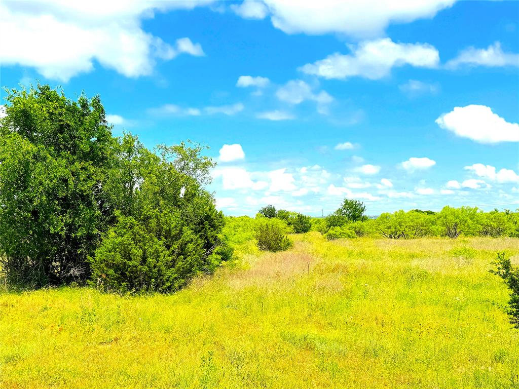 1020 Goodnight Trail Property Photo 10