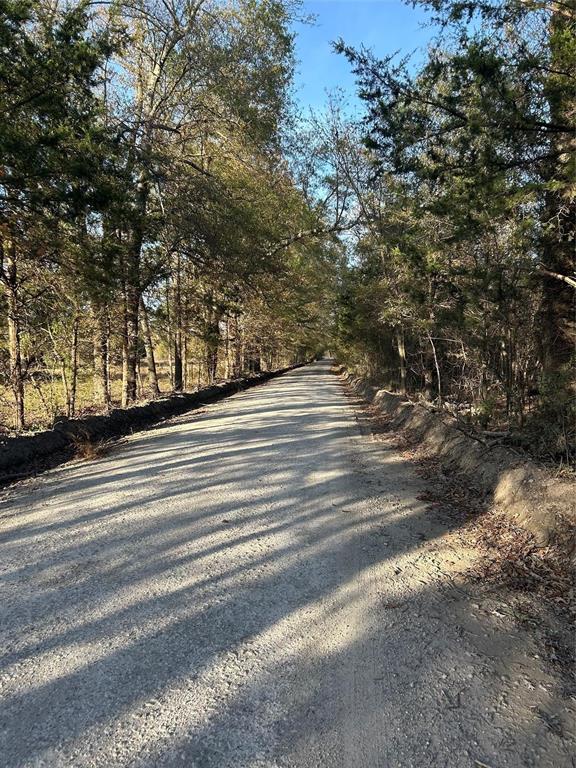 Tract A County Road 1412 Property Photo 3