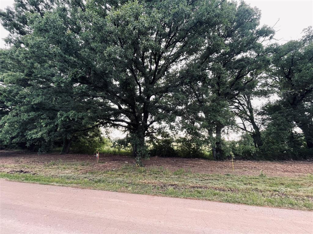 Lot 4 County Road 1560 Property Photo 1