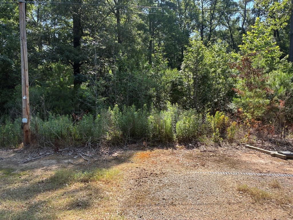 134 E. Cloverleaf Property Photo 1