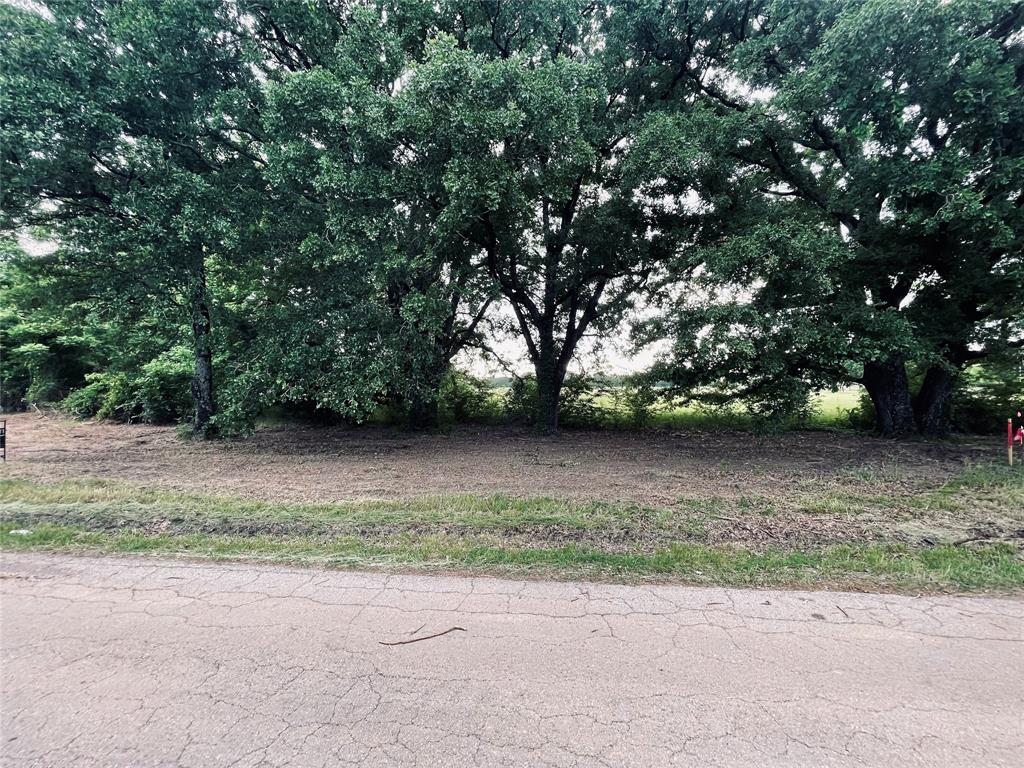Lot 5 County Road 1560 Property Photo 1