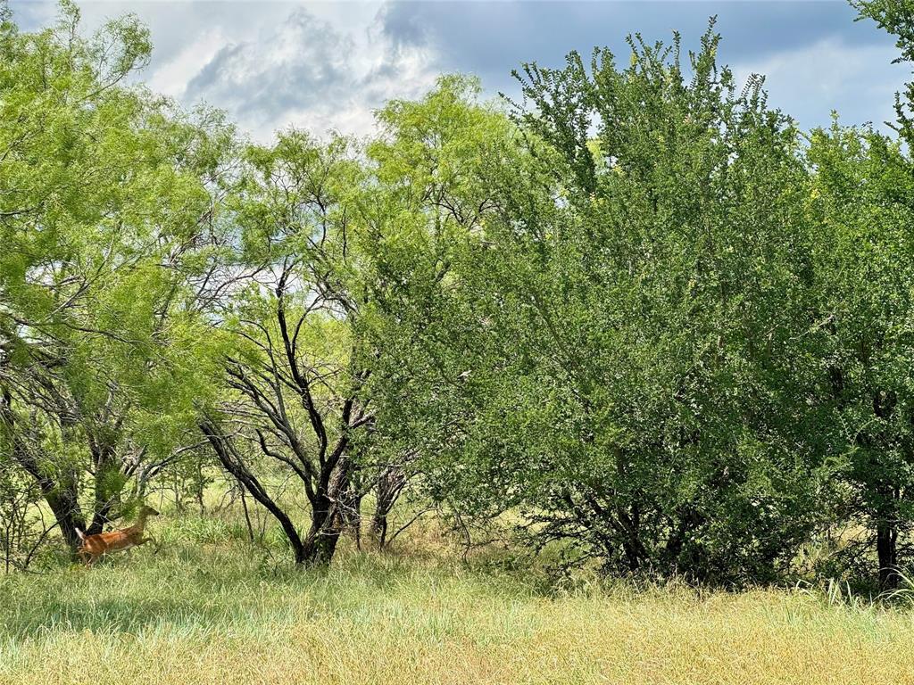 170 Brazos West Drive Property Photo 8