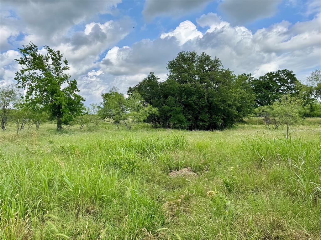 170 Brazos West Drive Property Photo 11