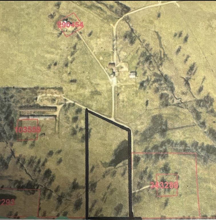 Tbd County Road 1613 Property Photo 1