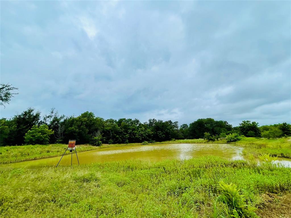 103 County Road 536 Property Photo 1