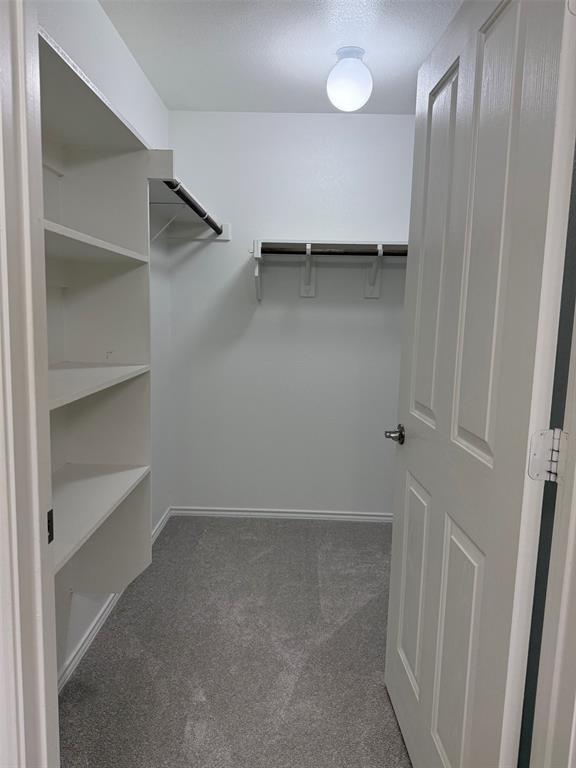 7421 Kite Lane Property Photo 17
