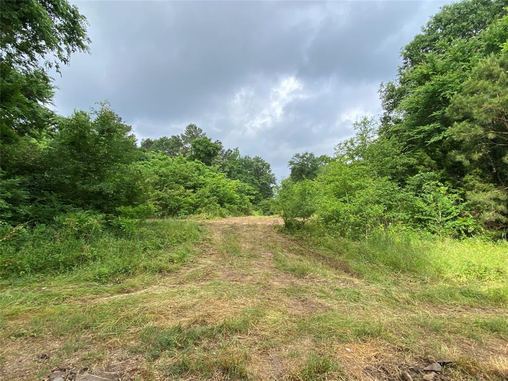 5511 Snapdragon Road Property Photo 1