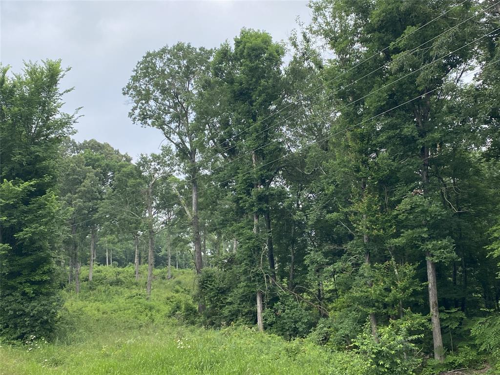 Tbd Us Hwy 259 Property Photo 1