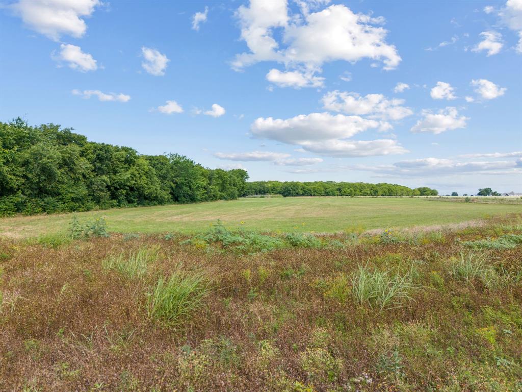 12393 Chisum Road Property Photo 32
