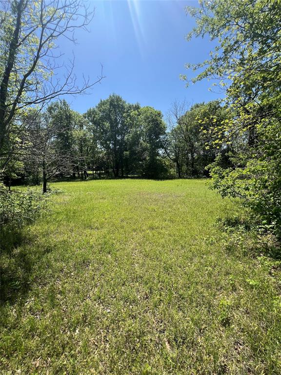 Lot 481 Canal Street Property Photo 7