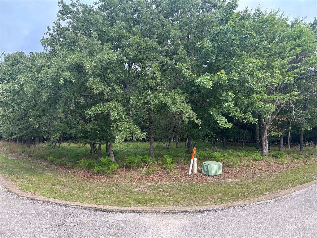Tbd Caroline Court Property Photo 1