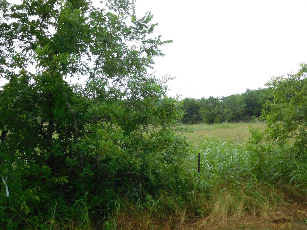 Tbd County Road 3315 Property Photo 10
