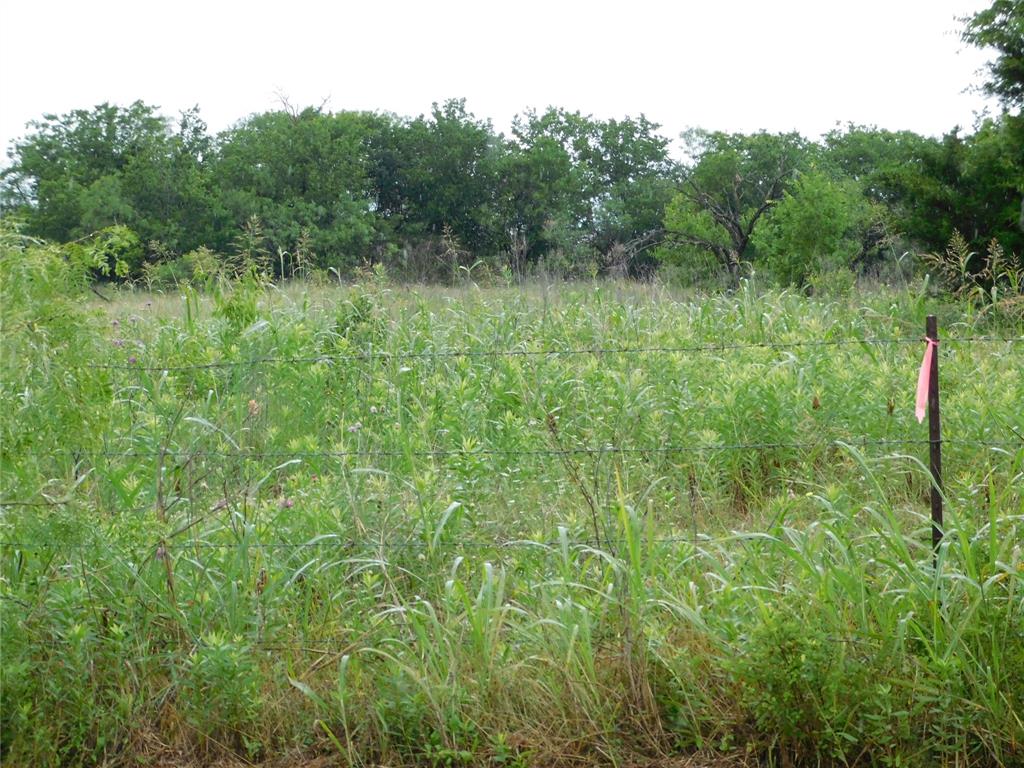 Tbd County Road 3315 Property Photo 11