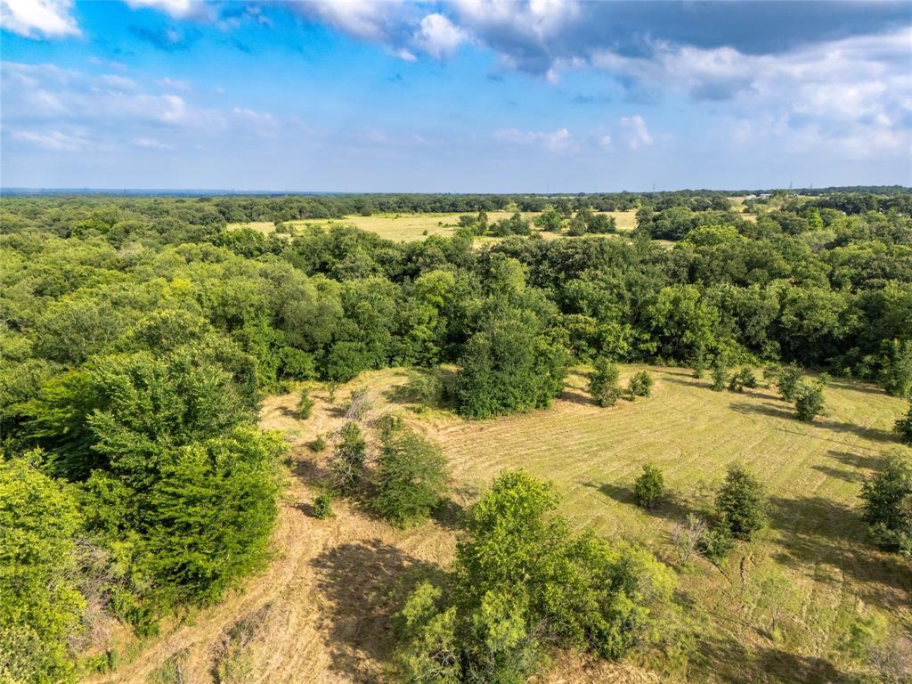 451 County Road 1475 Property Photo 1