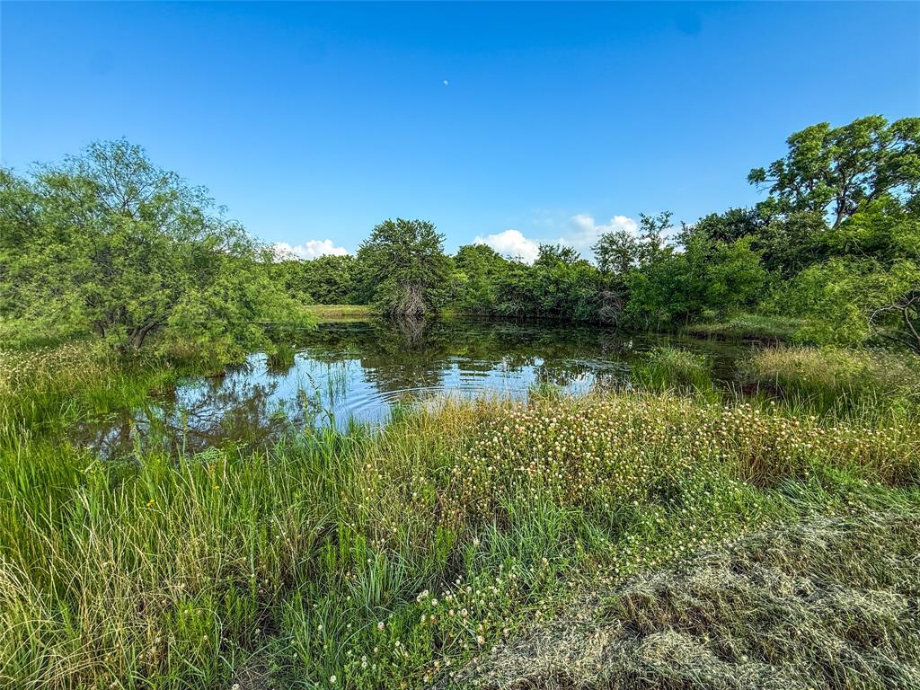 451 County Road 1475 Property Photo 20