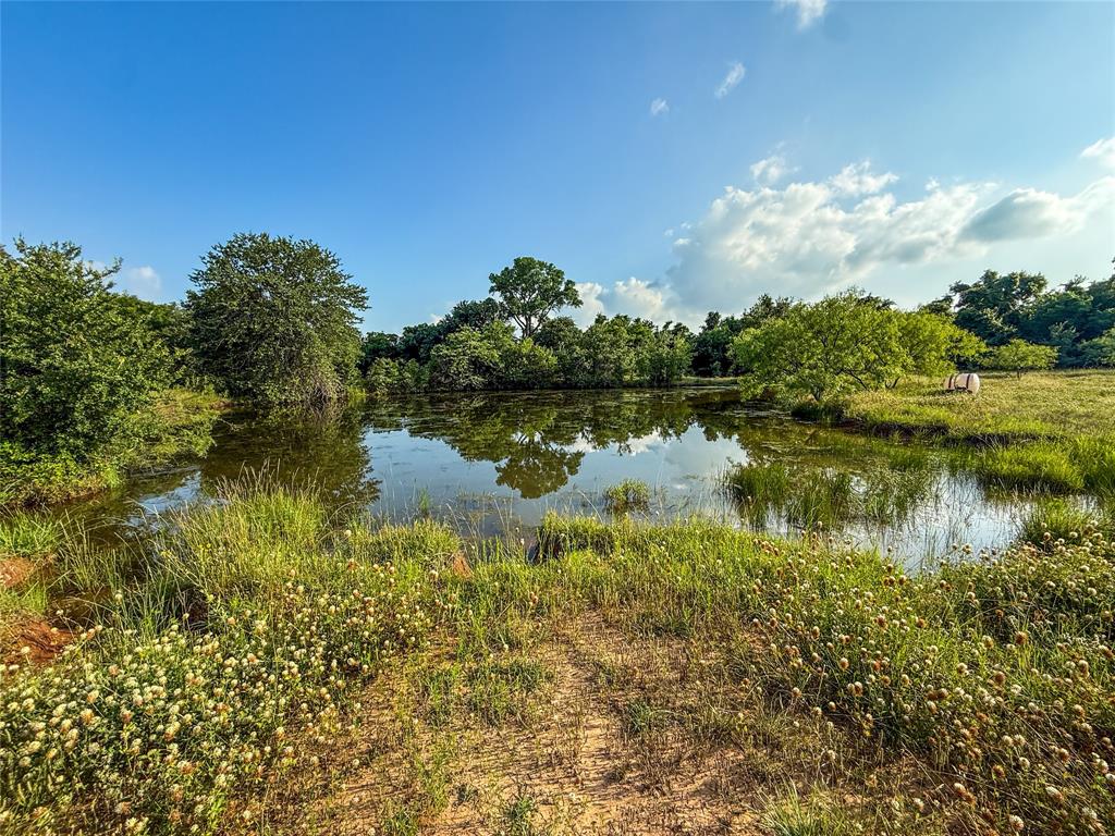 451 County Road 1475 Property Photo 21