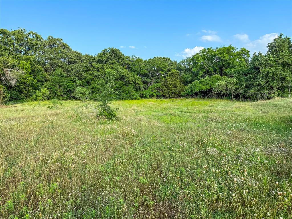 451 County Road 1475 Property Photo 22