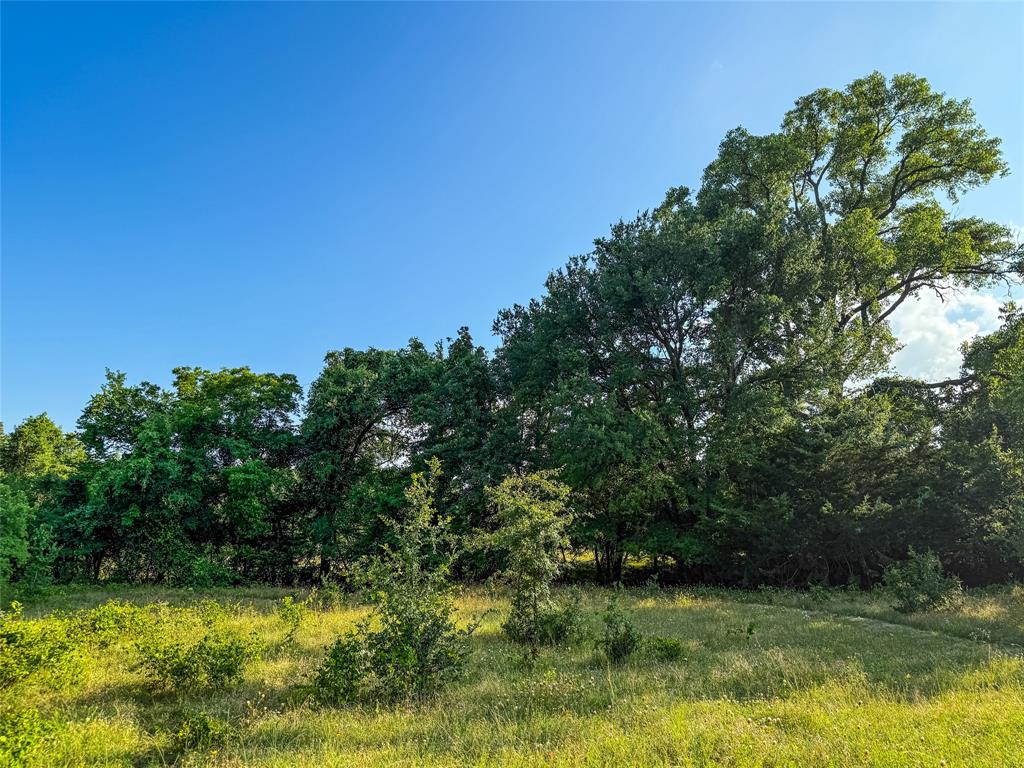 451 County Road 1475 Property Photo 23