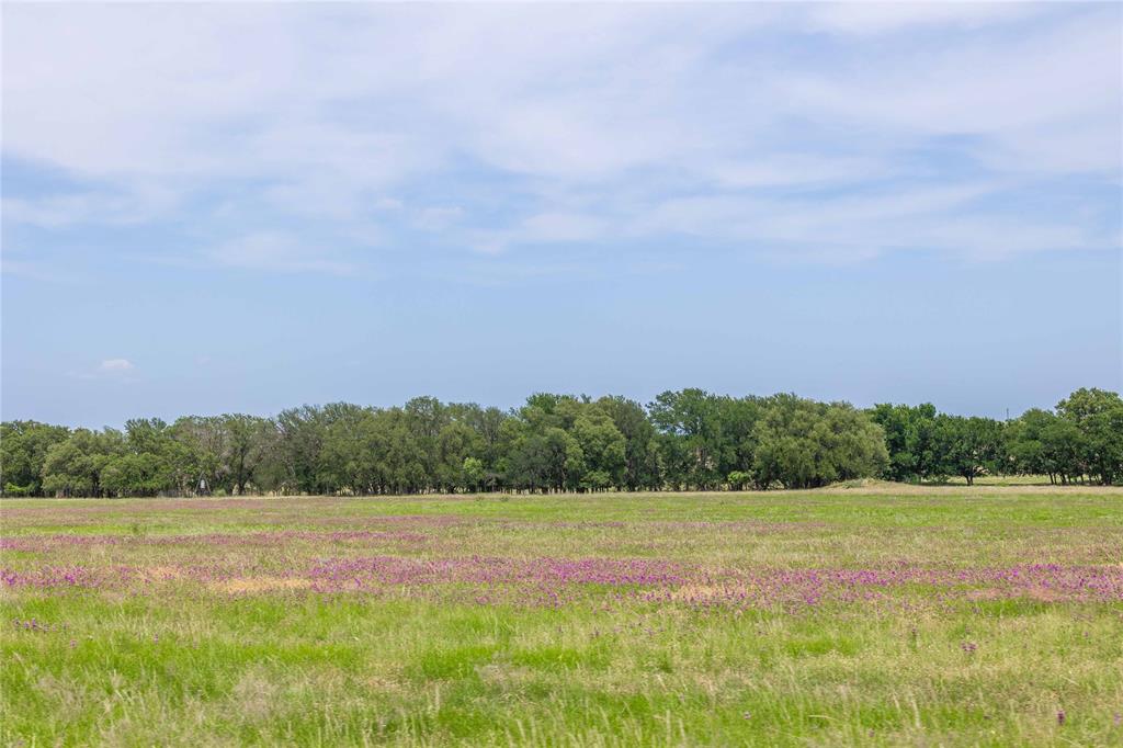1183 Us Highway 84 Highway Property Photo 19