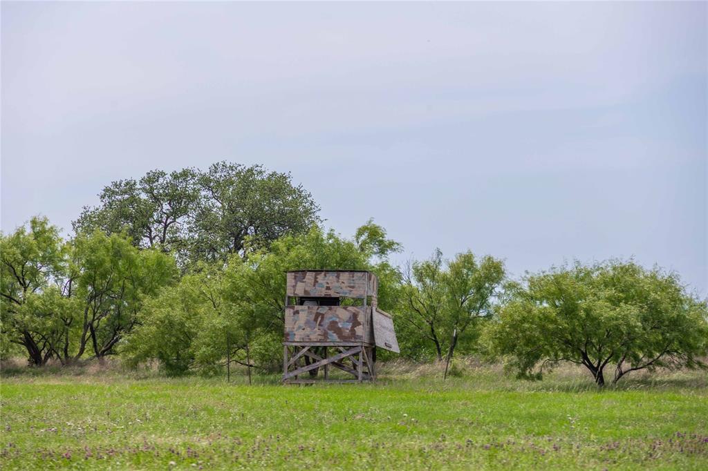 1183 Us Highway 84 Highway Property Photo 22
