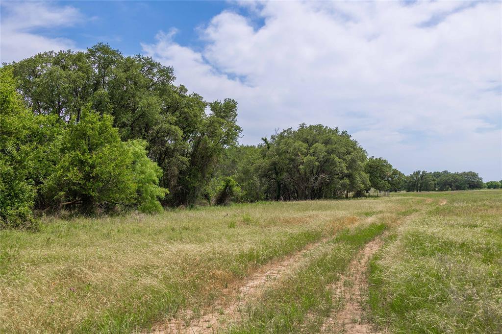 1183 Us Highway 84 Highway Property Photo 28