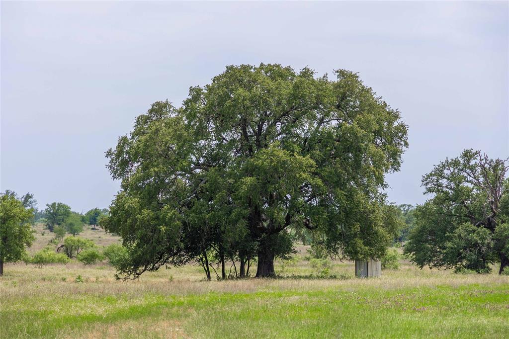 1183 Us Highway 84 Highway Property Photo 31