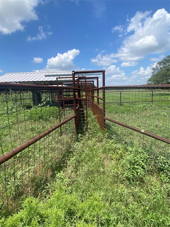 1183 Us Highway 84 Highway Property Photo 37
