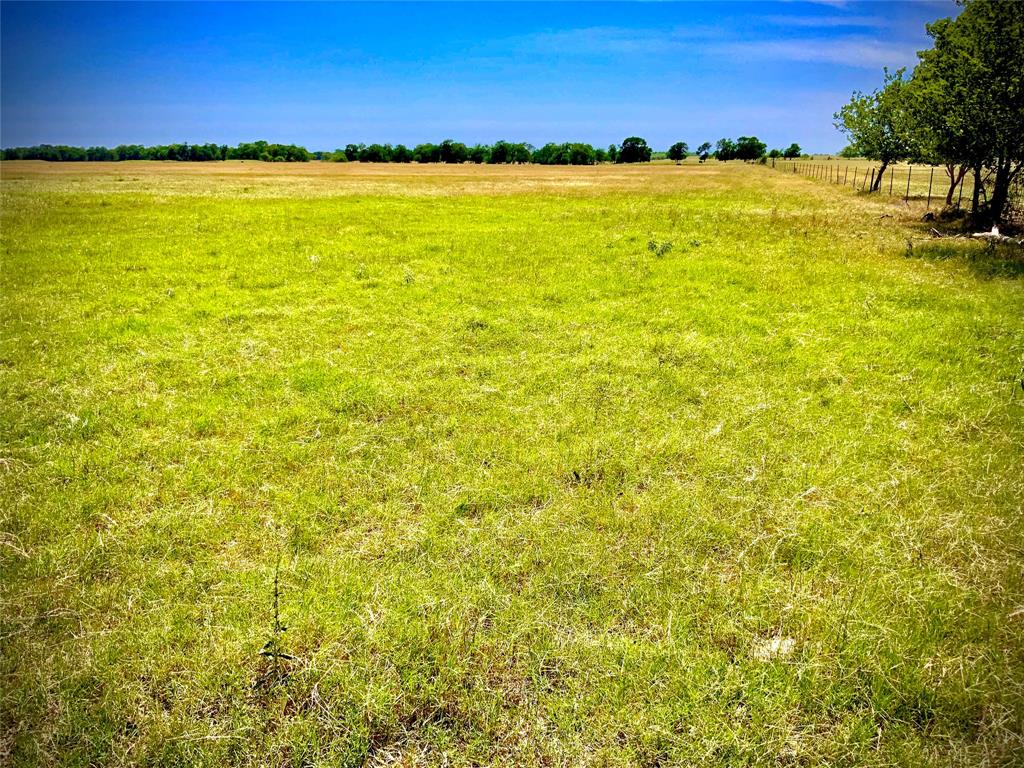 Tbd- Tract 10a Cr 137 Property Photo 6