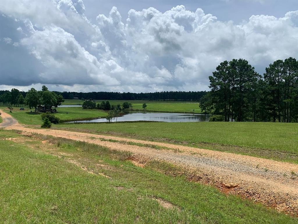 20550 Highway 9 Property Photo 11