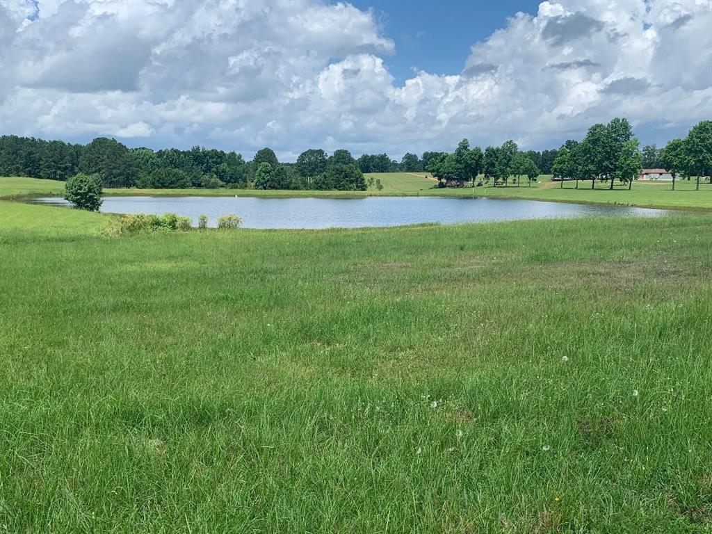 20550 Highway 9 Property Photo 20
