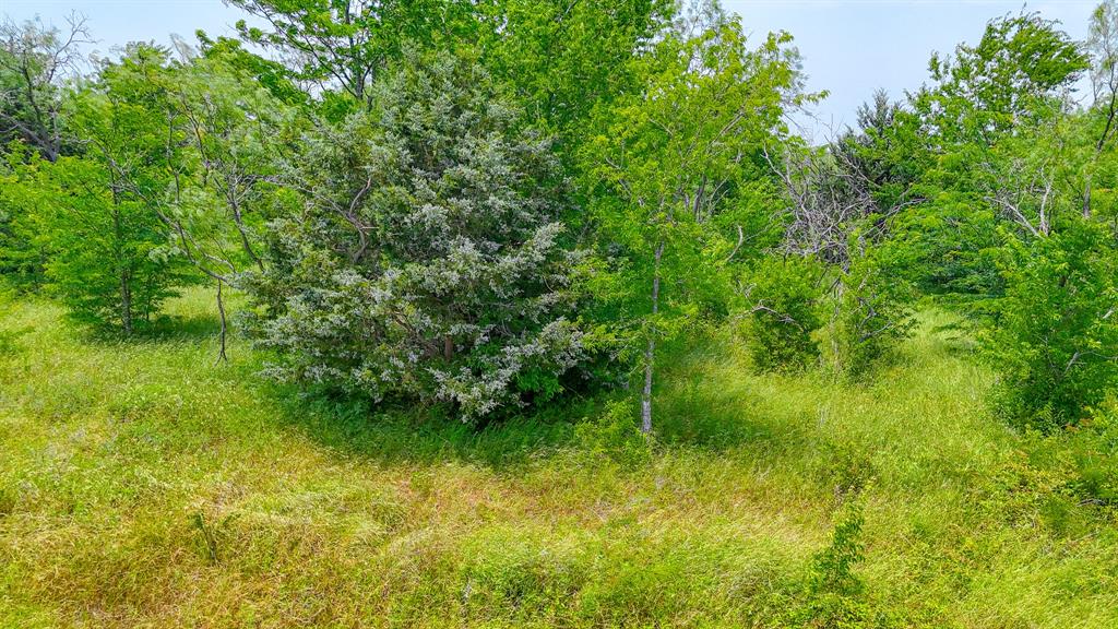 Lot 103 Wolf Creek Property Photo 3