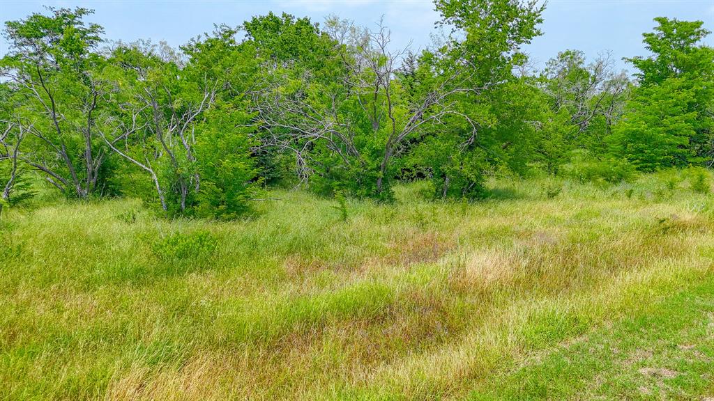 Lot 103 Wolf Creek Property Photo 4
