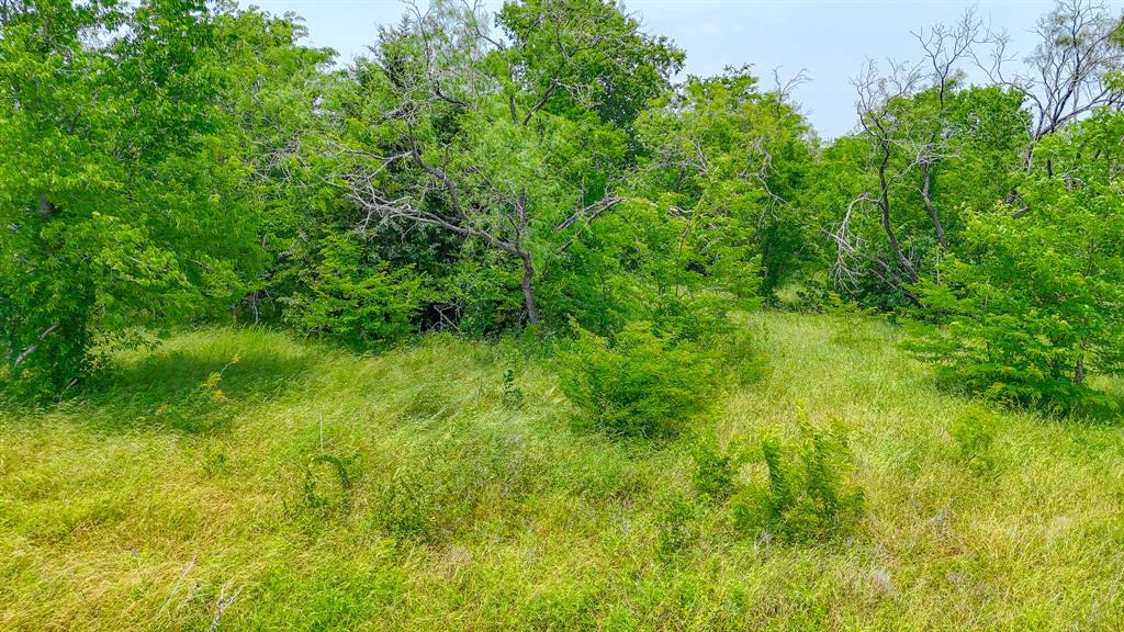 Lot 103 Wolf Creek Property Photo 5
