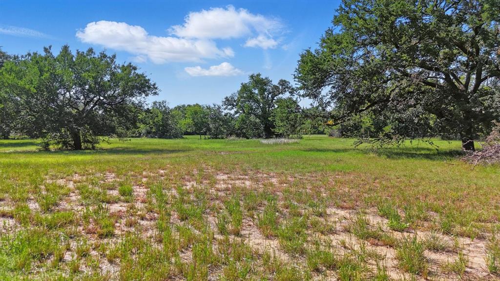 126 W Shady Shores Road Property Photo 1