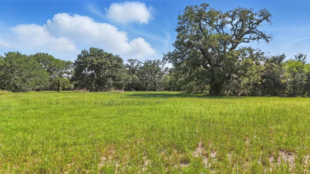 126 W Shady Shores Road Property Photo 2