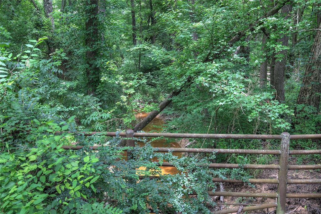 470 County Road 4930 Property Photo 24