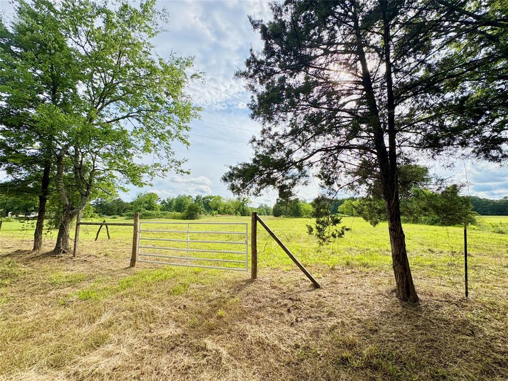 Tbd County Road 1770 Property Photo 2