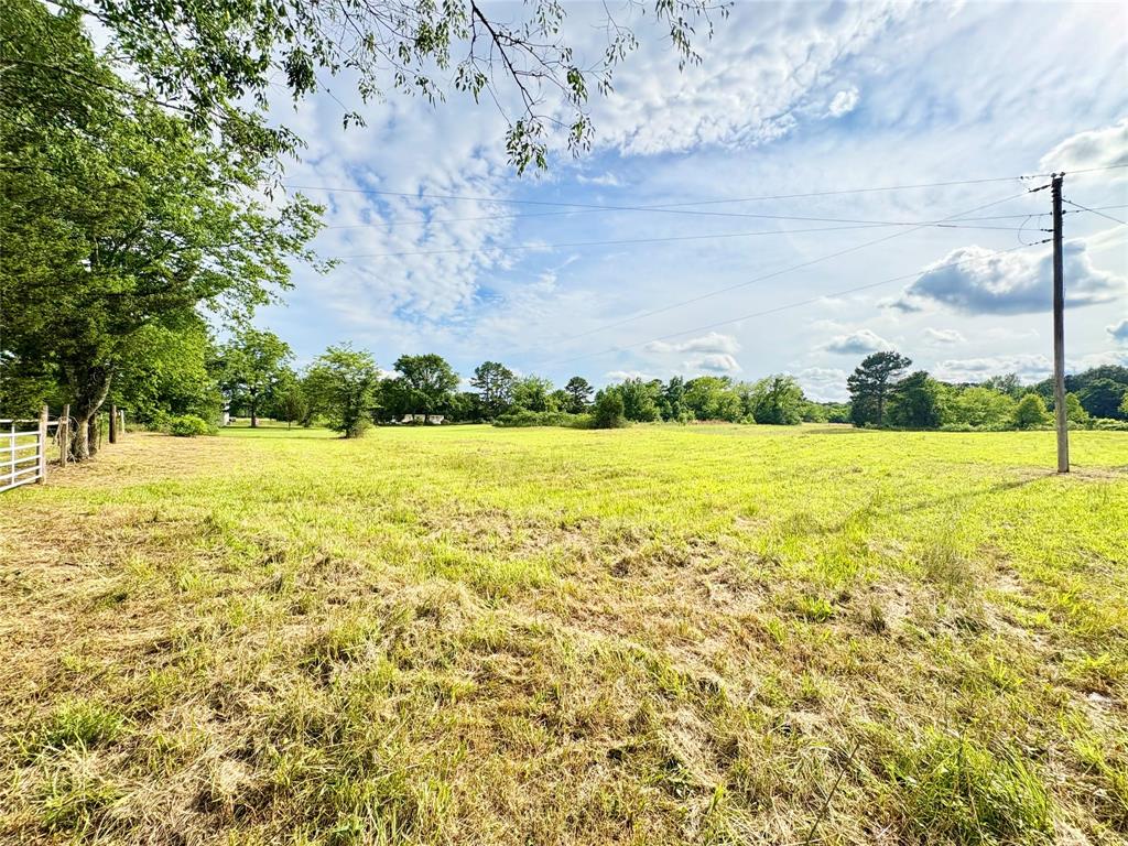 Tbd County Road 1770 Property Photo 3