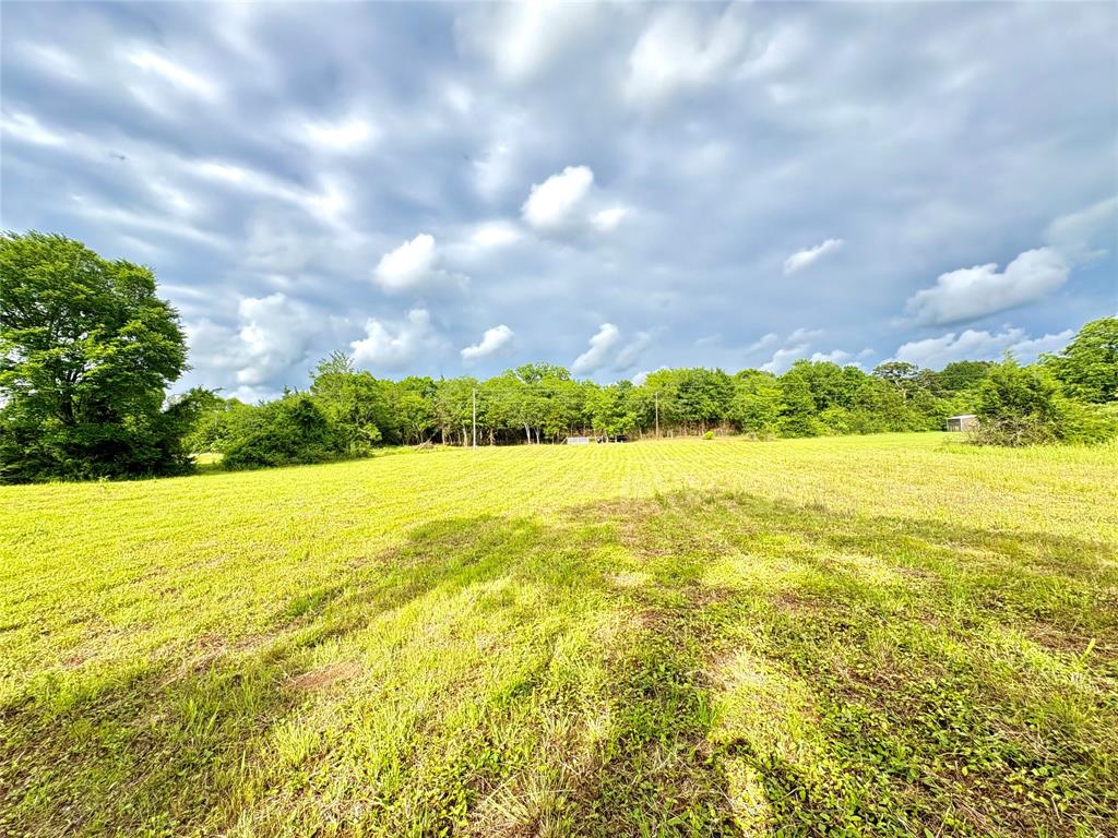 Tbd County Road 1770 Property Photo 4